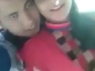 Desi couple's outdoor romance in HD